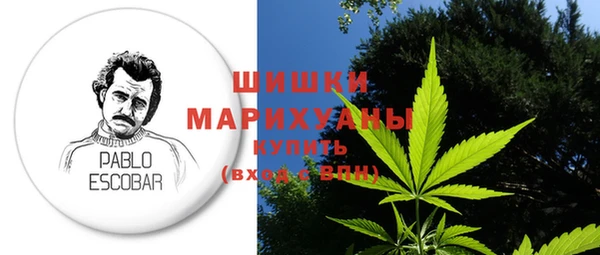 прущие грибы Баксан
