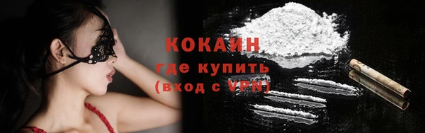 прущие грибы Баксан