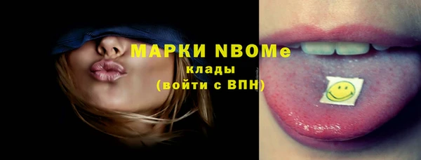 сатива Бородино