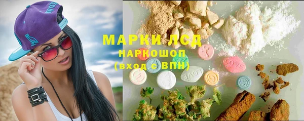 сатива Бородино
