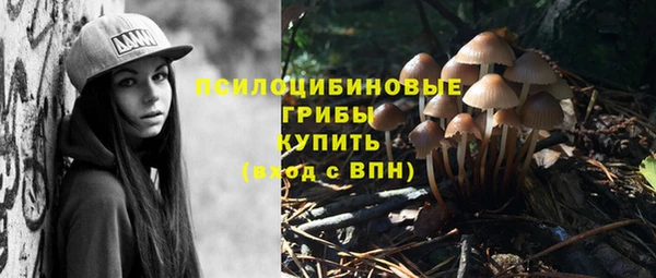 спиды Балахна