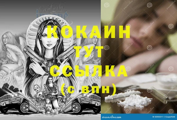прущие грибы Баксан